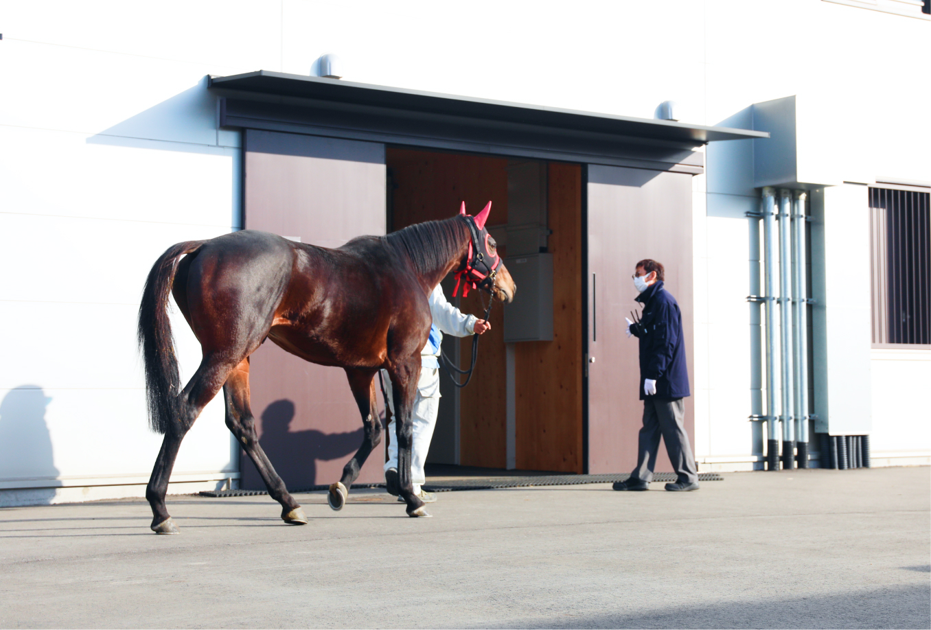 競馬関係者の対応