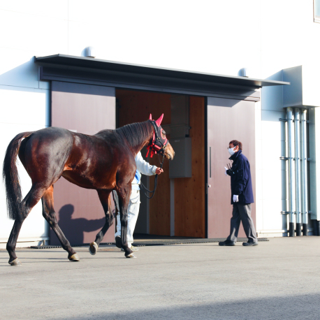 競馬関係者の対応